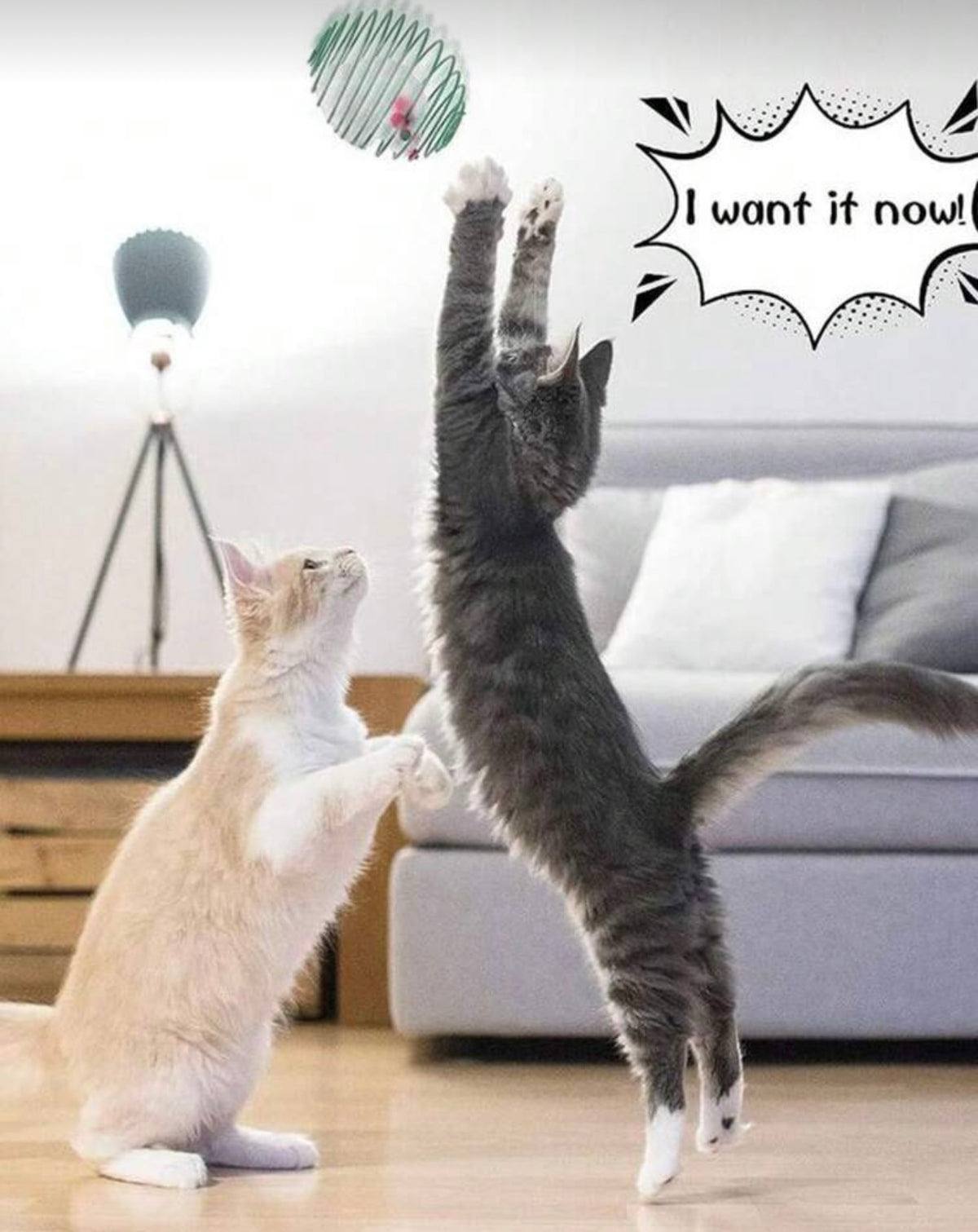 Yoinkin Spring Cage Mouse Toy for Cats (3-pack)