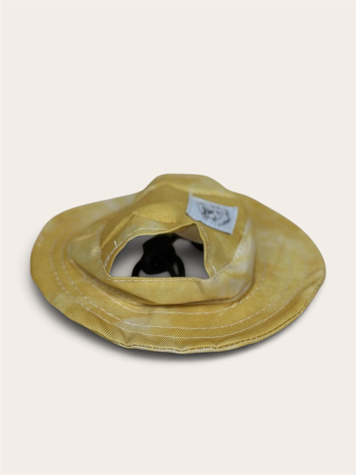 Bambi’s Yellow Cat Hat
