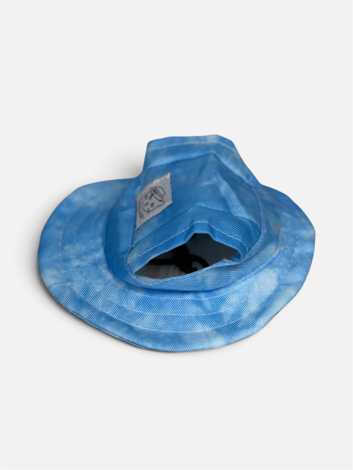 Bambi’s Blue Cat Hat