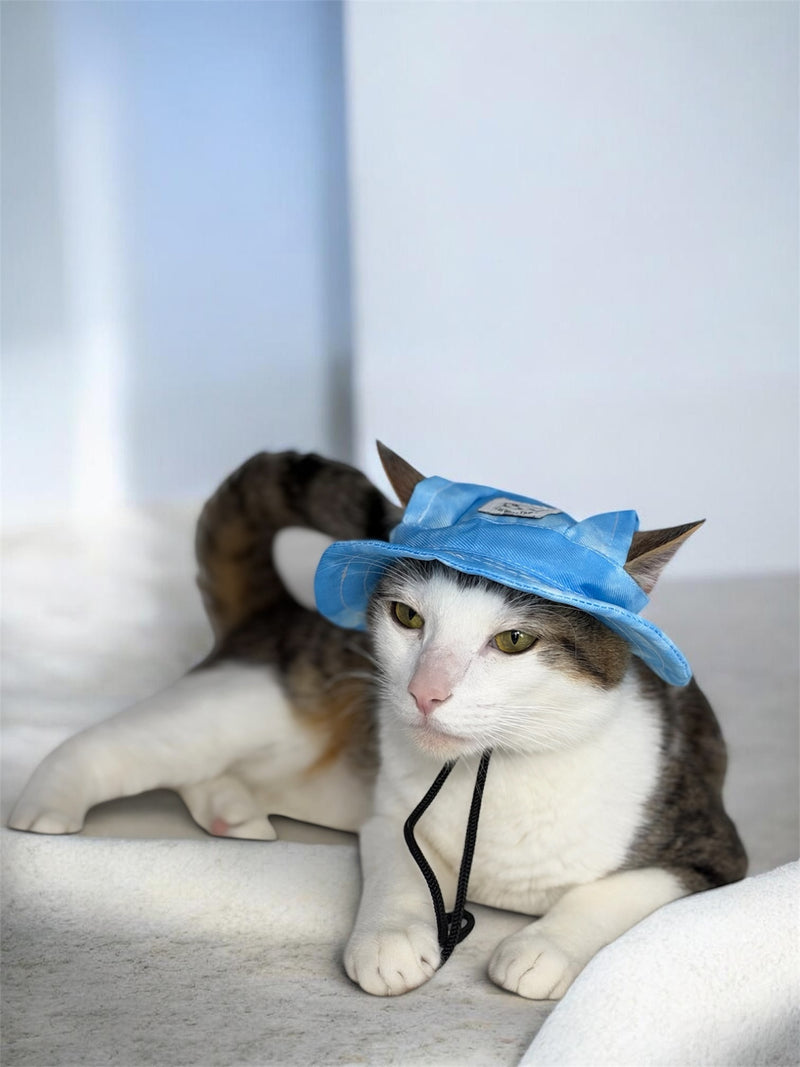 Bambi’s Blue Cat Hat