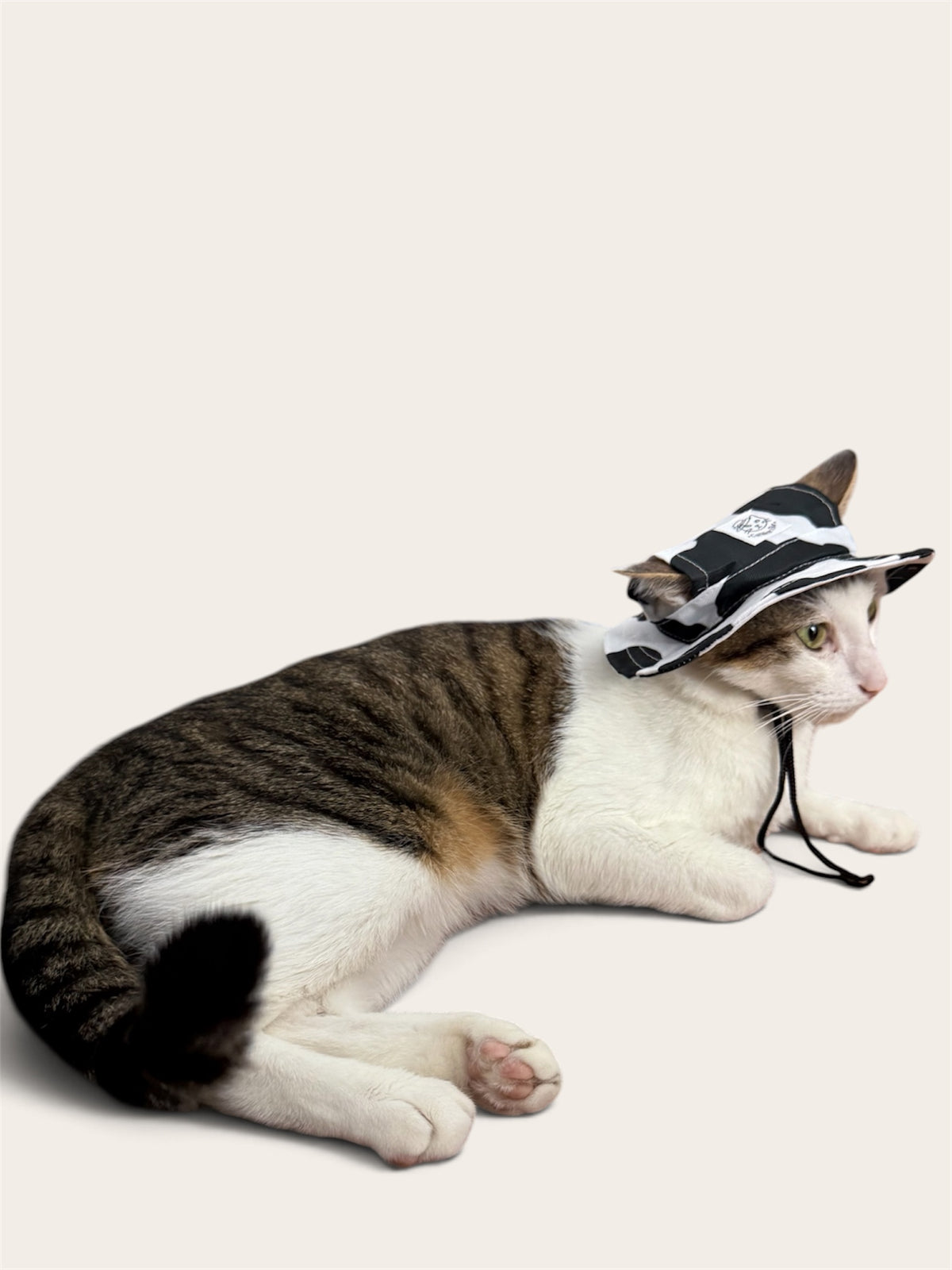 Bambi’s Cow Cat Hat
