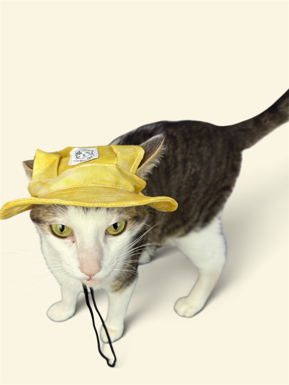 Bambi’s Yellow Cat Hat