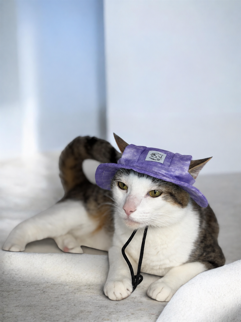 Bambi’s Purple Cat Hat