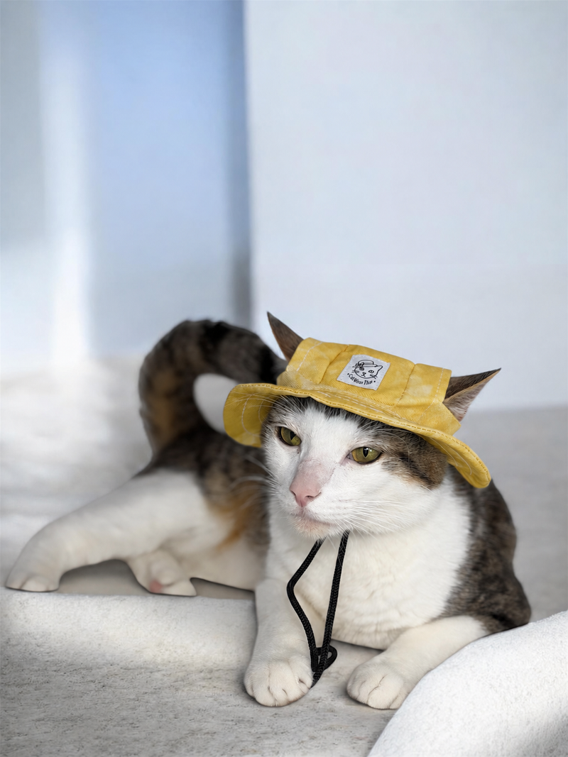Bambi’s Yellow Cat Hat