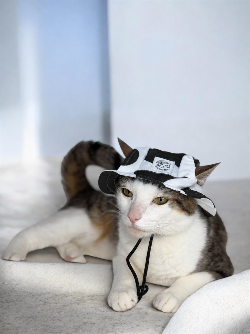 Bambi’s Cow Cat Hat