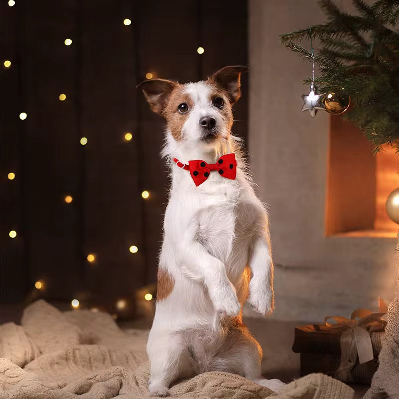 Yoinkin Pet Bow Accessory
