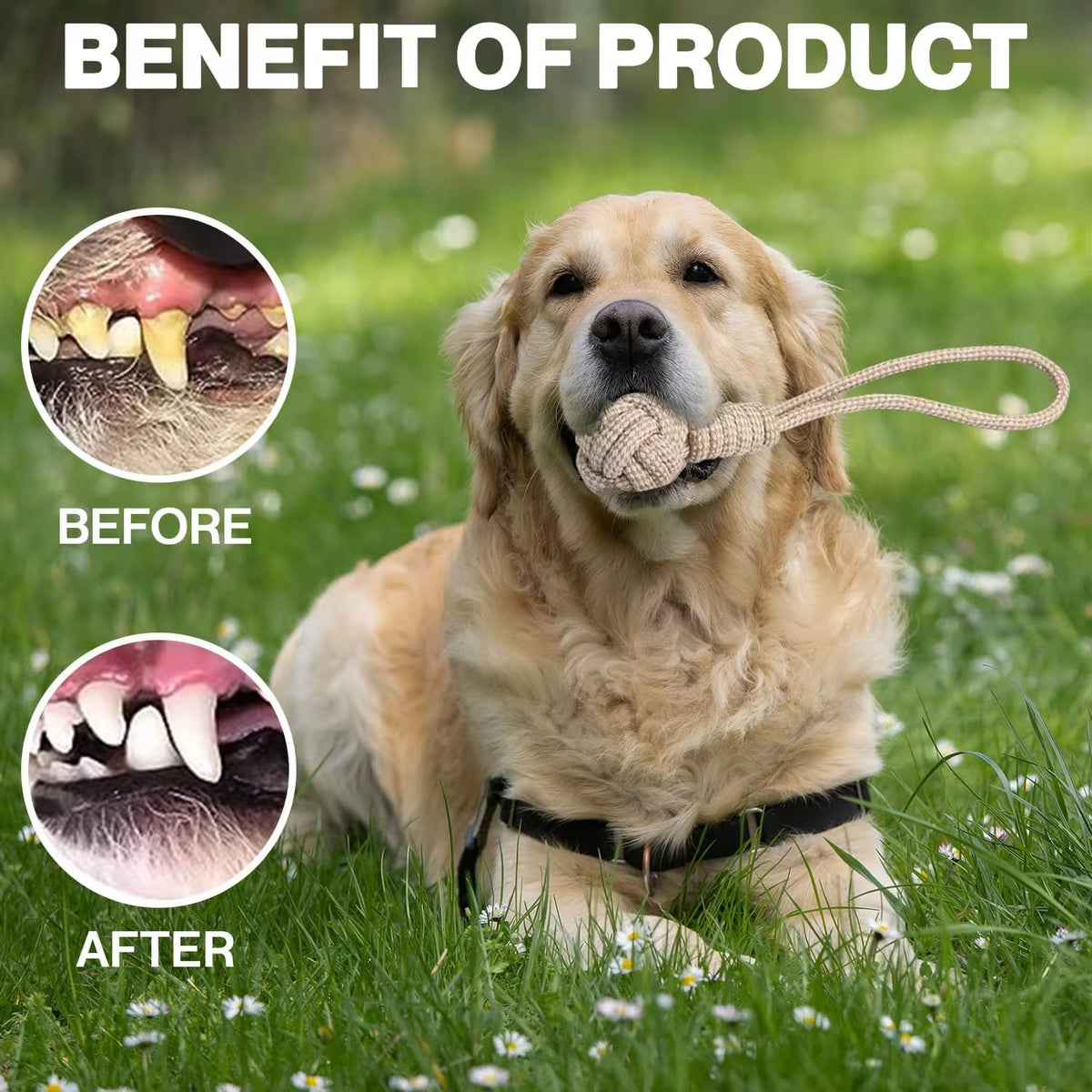 Yoinkin Heavy-Duty Rope Tug Toy